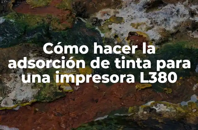 Cómo Hacer la Adsorción de Tinta para una Impresora L380 2 Adsorción de tinta para impresoras L380