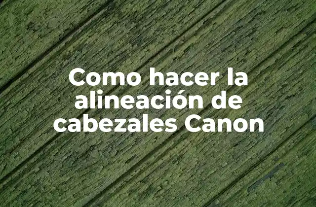 Como Hacer la Alineación de Cabezales Canon