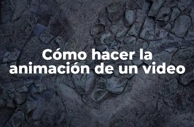 Cómo Hacer la Animación de un Video