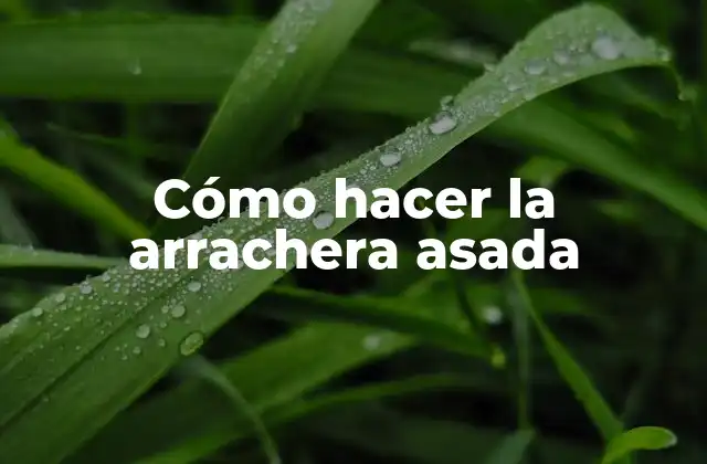 ¿Qué es la arrachera asada?