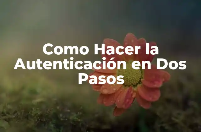 Como Hacer la Autenticación en Dos Pasos