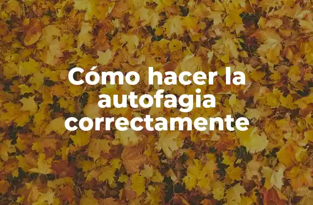 Cómo Hacer la Autofagia Correctamente