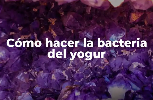 ¿Qué es la bacteria del yogur y para qué sirve?