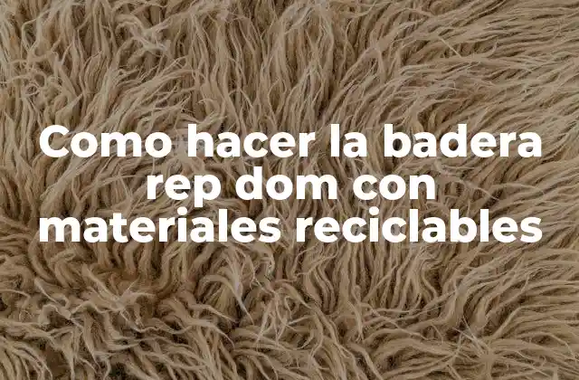 Como Hacer la Badera Rep Dom con Materiales Reciclables