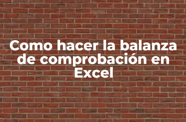 Como Hacer la Balanza de Comprobación en Excel