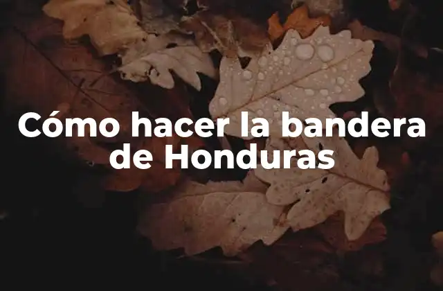 Cómo Hacer la Bandera de Honduras