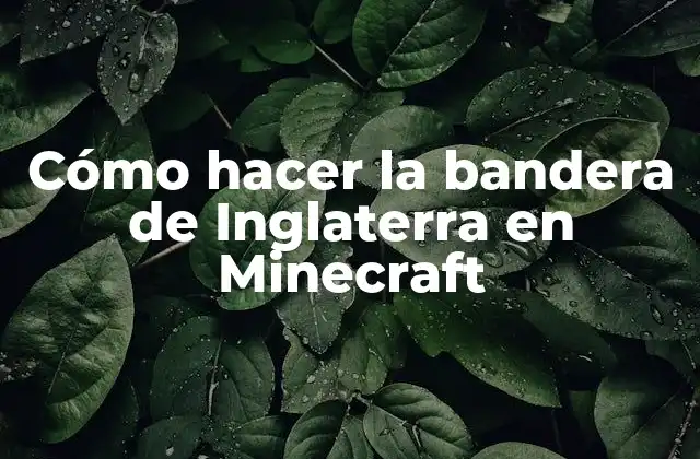 Cómo Hacer la Bandera de Inglaterra en Minecraft