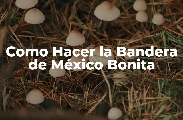 ¿Qué es la Bandera de México?