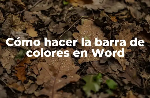 Cómo Hacer la Barra de Colores en Word