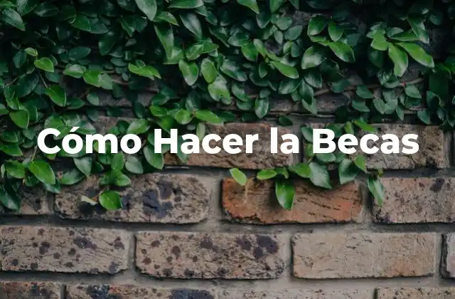 Cómo Hacer la Becas