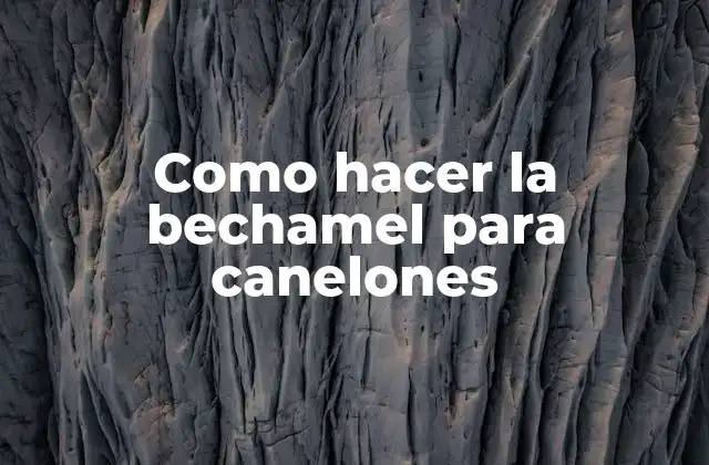 ¿Qué es la bechamel?