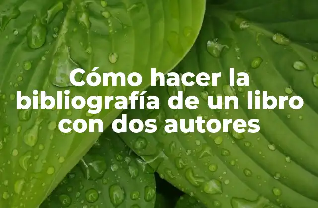 Cómo Hacer la Bibliografía de un Libro con Dos Autores