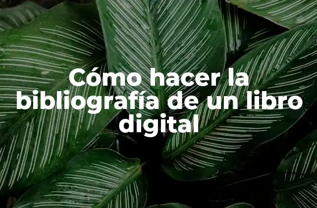 Cómo Hacer la Bibliografía de un Libro Digital