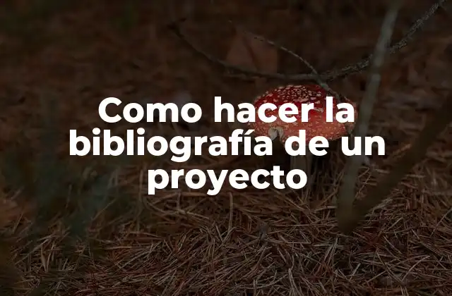 Como Hacer la Bibliografía de un Proyecto