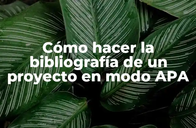 Cómo Hacer la Bibliografía de un Proyecto en Modo Apa