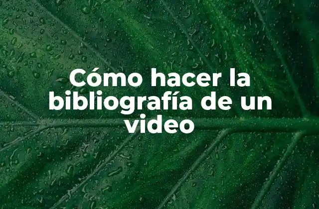 Cómo Hacer la Bibliografía de un Video