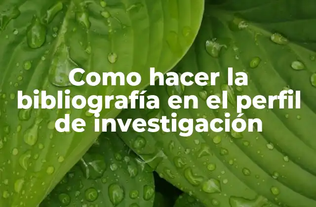 Como Hacer la Bibliografía en el Perfil de Investigación