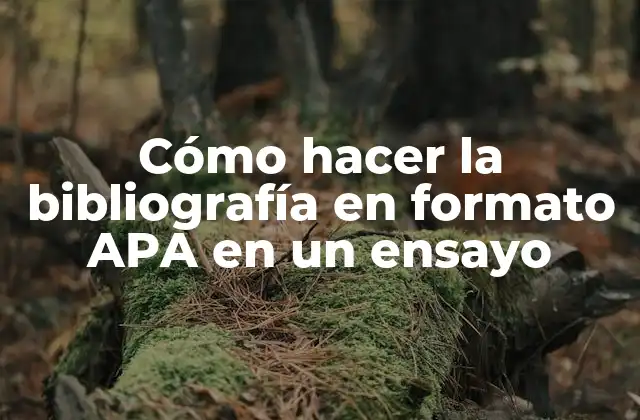 Cómo Hacer la Bibliografía en Formato Apa en un Ensayo