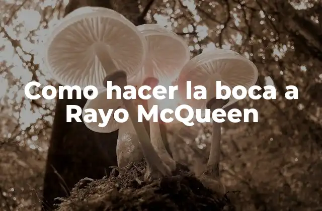 Como Hacer la Boca a Rayo Mcqueen 2 ¿Qué es la boca de Rayo McQueen?