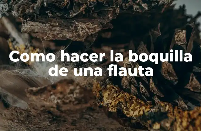 Como Hacer la Boquilla de una Flauta