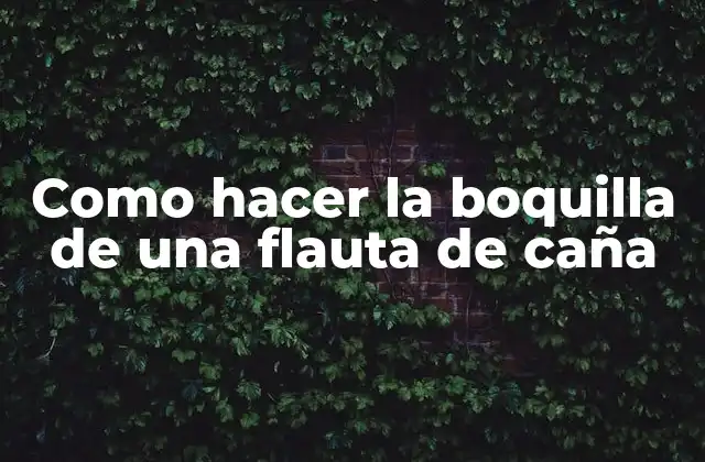 Como Hacer la Boquilla de una Flauta de Caña