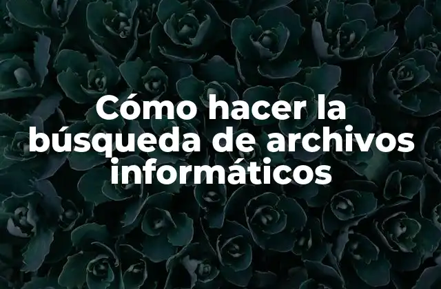 Cómo Hacer la Búsqueda de Archivos Informáticos