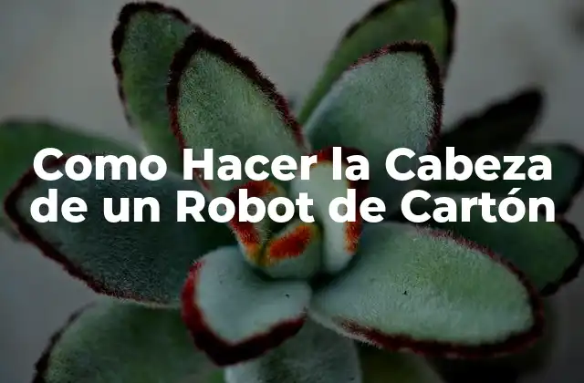 Como Hacer la Cabeza de un Robot de Cartón