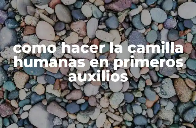 Como Hacer la Camilla Humanas en Primeros Auxilios