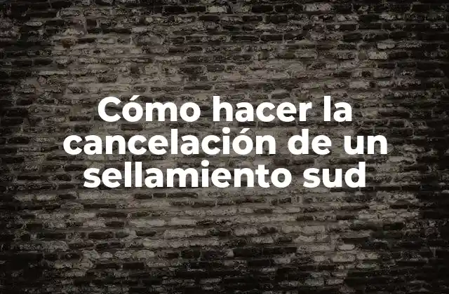 Cómo Hacer la Cancelación de un Sellamiento Sud