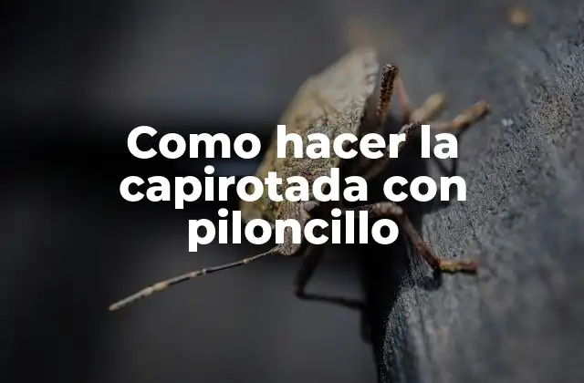 Como Hacer la Capirotada con Piloncillo