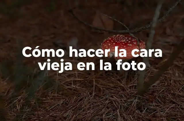Cómo Hacer la Cara Vieja en la Foto