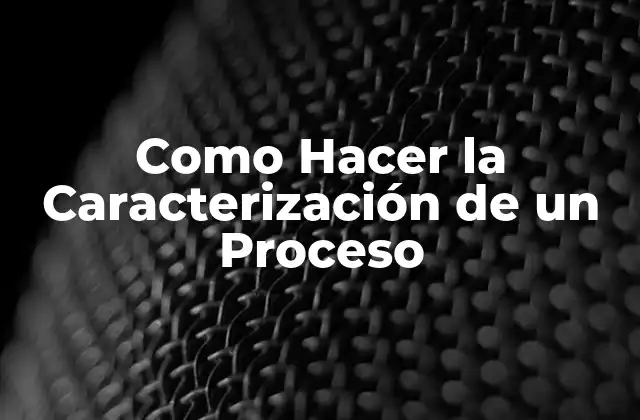 Como Hacer la Caracterización de un Proceso