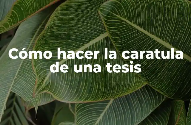 Cómo Hacer la Caratula de una Tesis