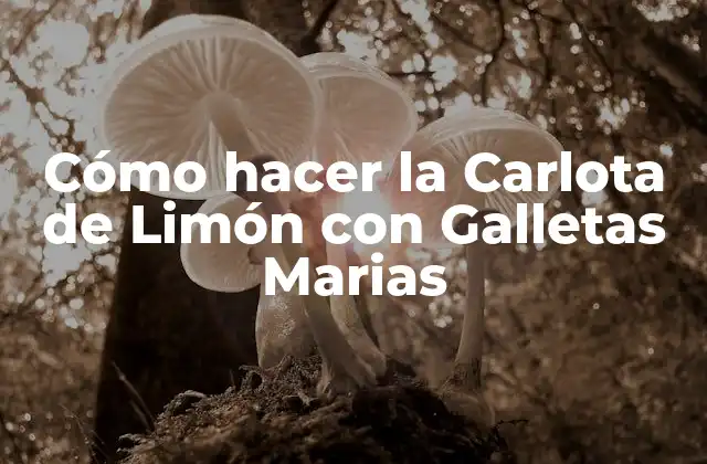 Cómo Hacer la Carlota de Limón con Galletas Marias