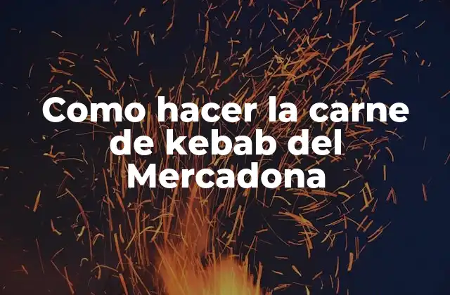 Como Hacer la Carne de Kebab Del Mercadona