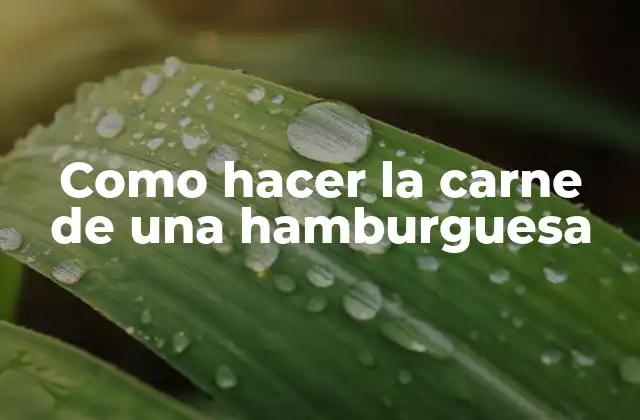 Como Hacer la Carne de una Hamburguesa