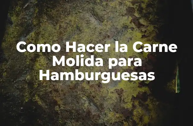 Como Hacer la Carne Molida para Hamburguesas