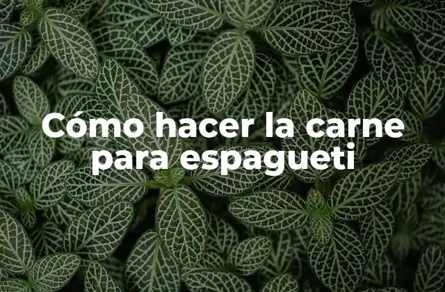 Cómo Hacer la Carne para Espagueti