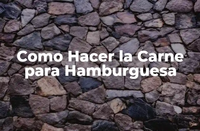 Como Hacer la Carne para Hamburguesa