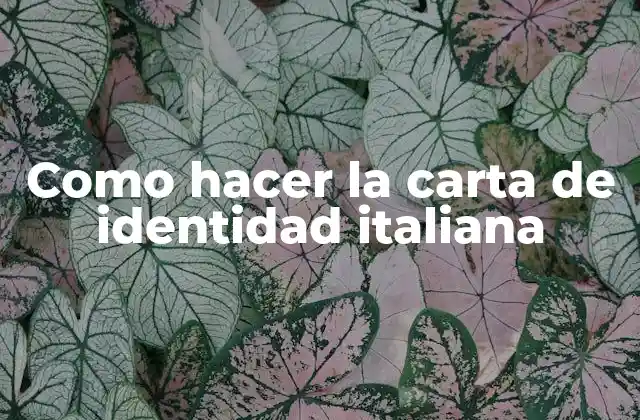 Como Hacer la Carta de Identidad Italiana