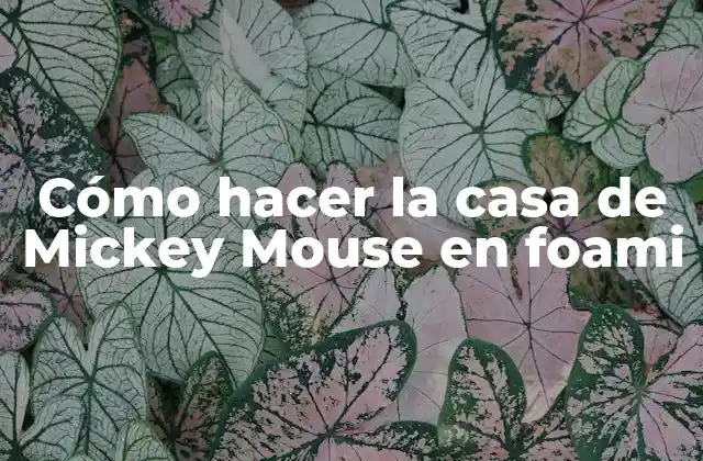 Cómo Hacer la Casa de Mickey Mouse en Foami