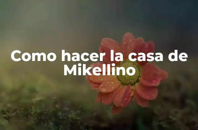 Como Hacer la Casa de Mikellino