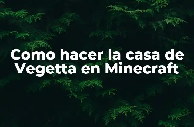 Como Hacer la Casa de Vegetta en Minecraft 2 La casa de Vegetta en Minecraft