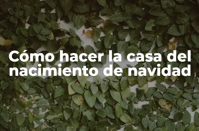 Cómo Hacer la Casa Del Nacimiento de Navidad