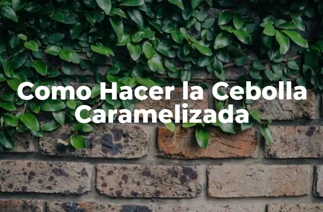 Como Hacer la Cebolla Caramelizada