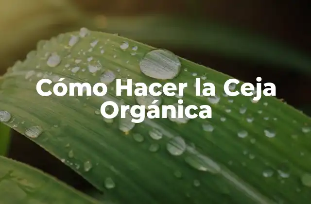 Cómo Hacer la Ceja Orgánica