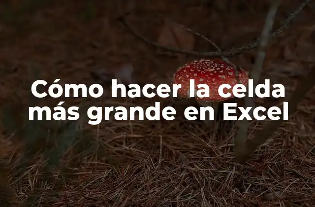 Cómo Hacer la Celda Más Grande en Excel