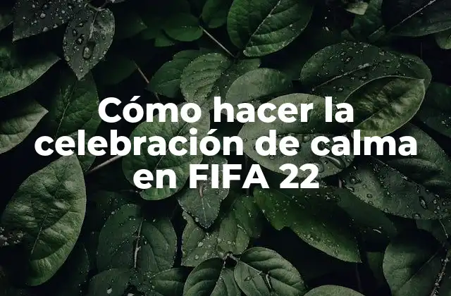 Cómo Hacer la Celebración de Calma en Fifa 22