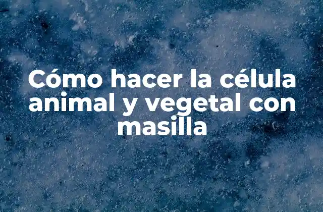Cómo Hacer la Célula Animal y Vegetal con Masilla 2 Célula animal y vegetal con masilla