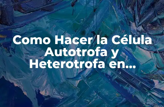 Como Hacer la Célula Autotrofa y Heterotrofa en Maqueta